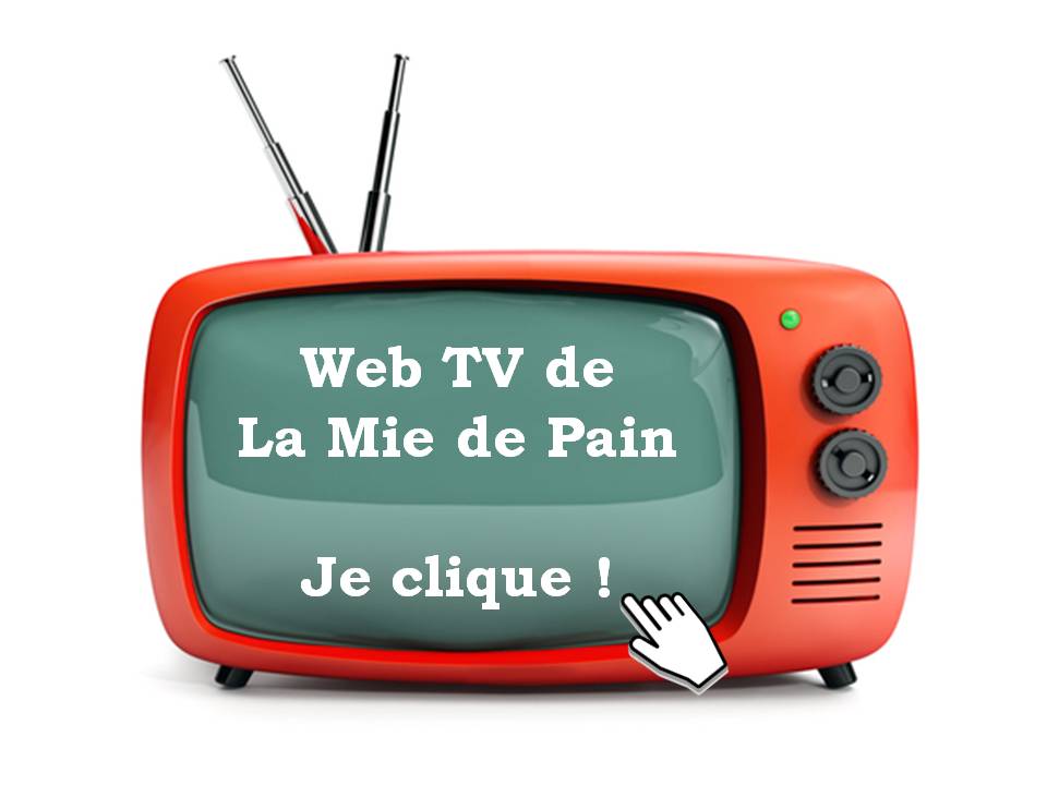 Web TV